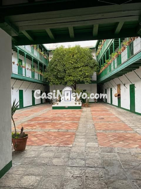 Centro Encarnación, junto a la Plaza DE LAS SETAS. Excelente - foto 20