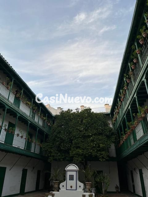 Centro Encarnación, junto a la Plaza DE LAS SETAS. Excelente - foto 21