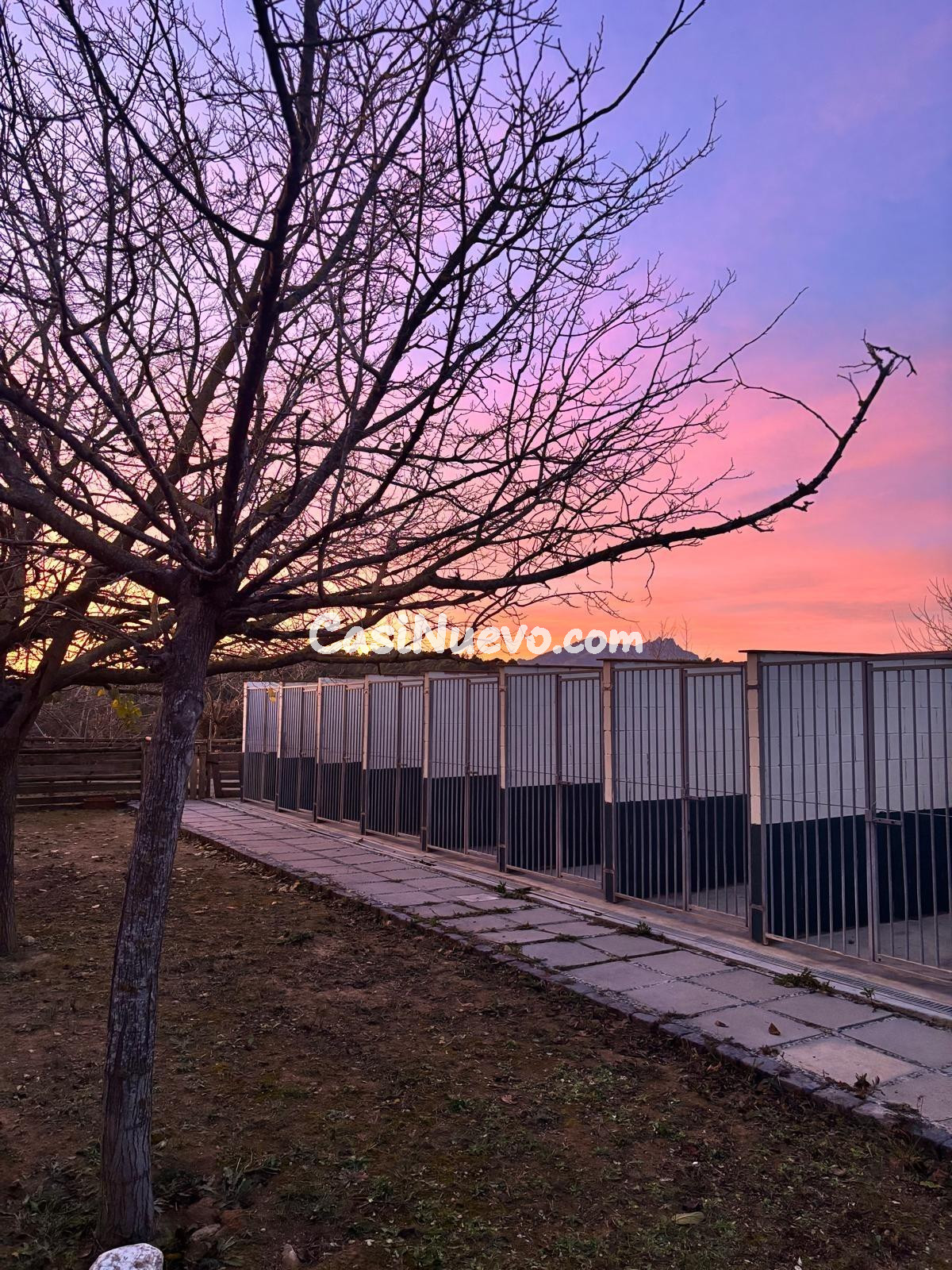 IDEAL INVERSORES, ALTA RENTABILIDAD - foto 6