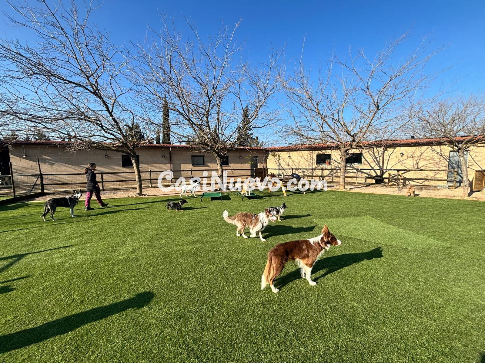 IDEAL INVERSORES, ALTA RENTABILIDAD - foto 7