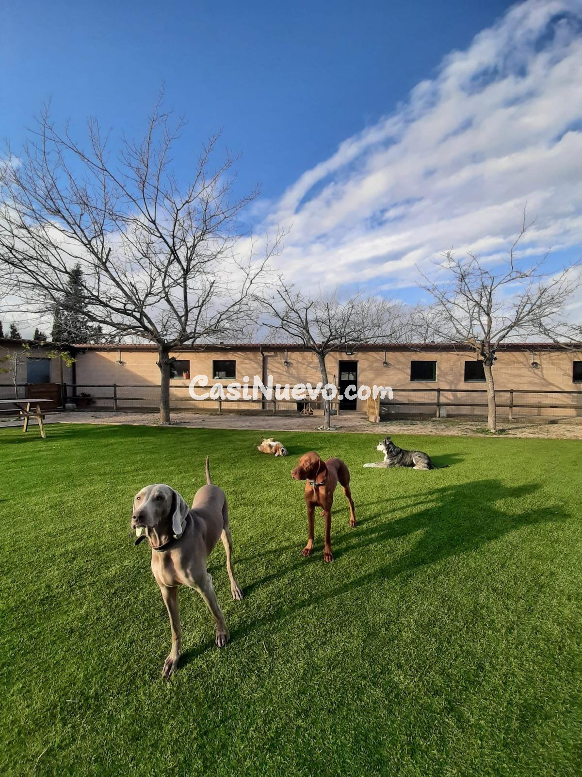 IDEAL INVERSORES, ALTA RENTABILIDAD - foto 8