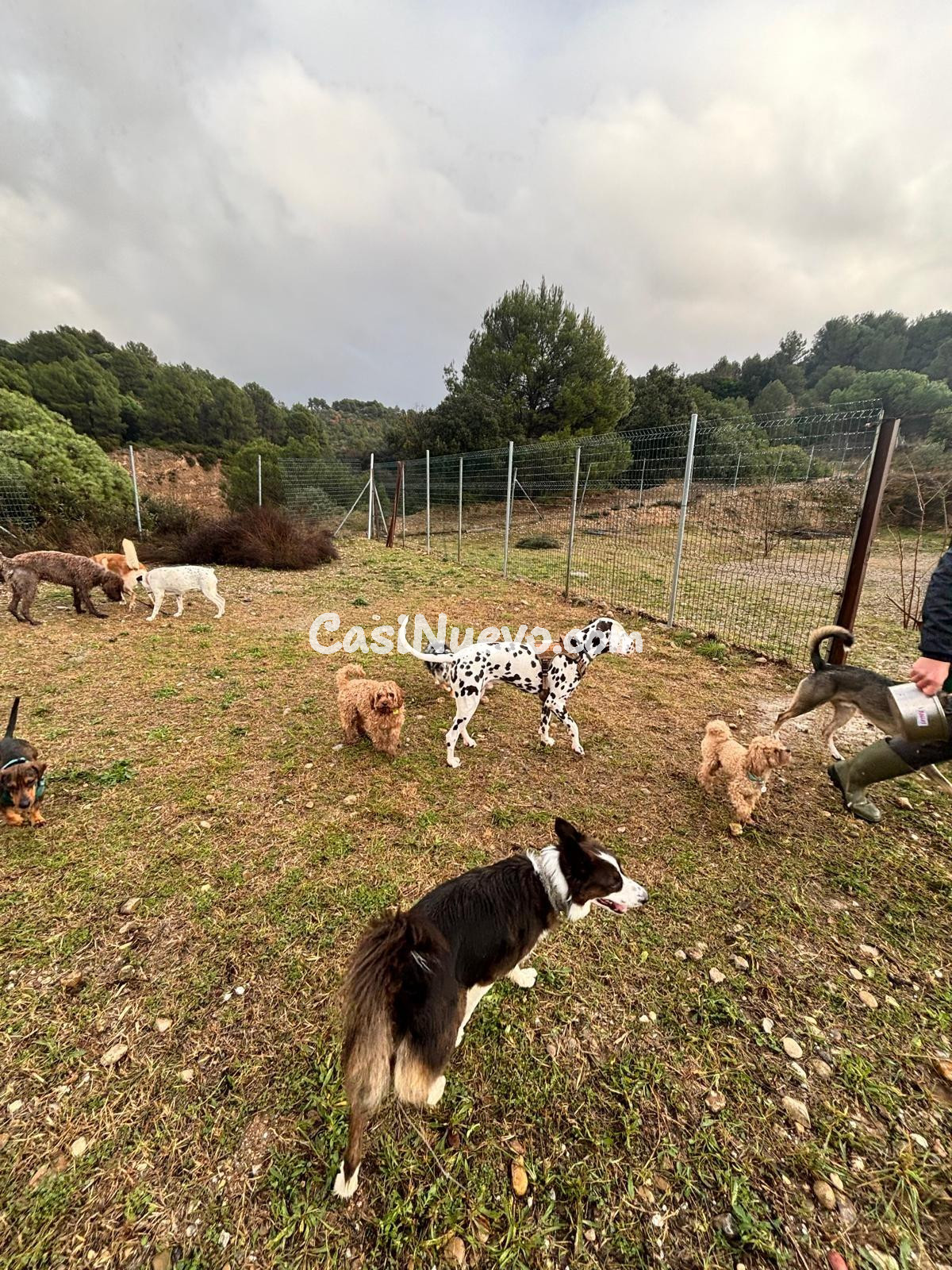 IDEAL INVERSORES, ALTA RENTABILIDAD - foto 9