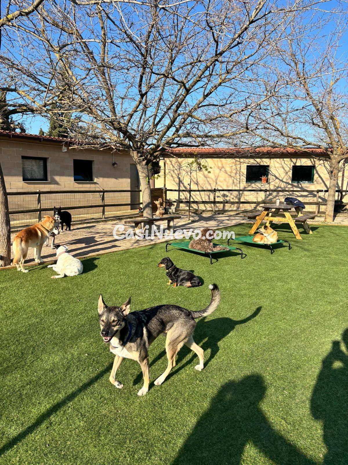 IDEAL INVERSORES, ALTA RENTABILIDAD - foto 10