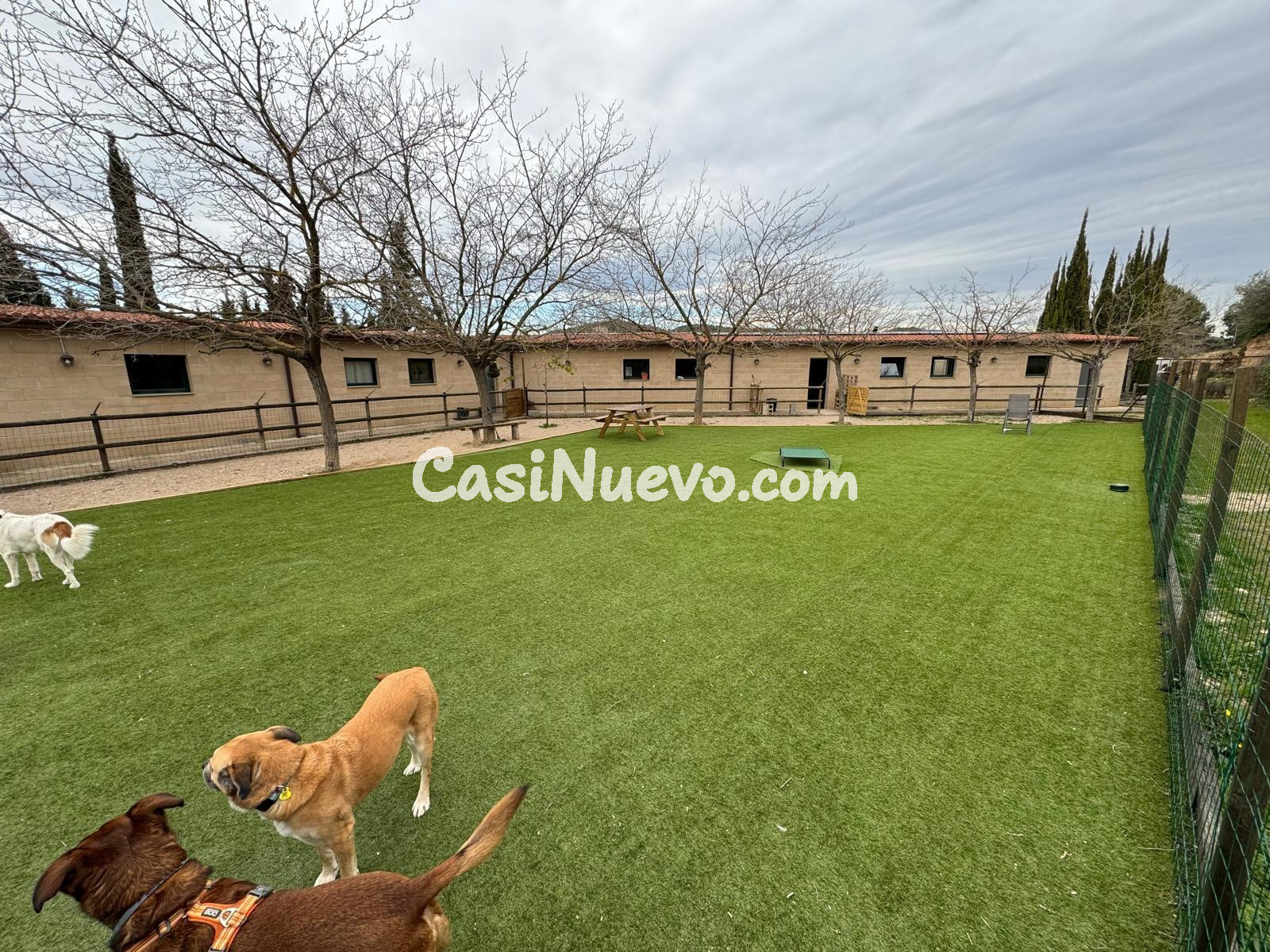 IDEAL INVERSORES, ALTA RENTABILIDAD - foto 12