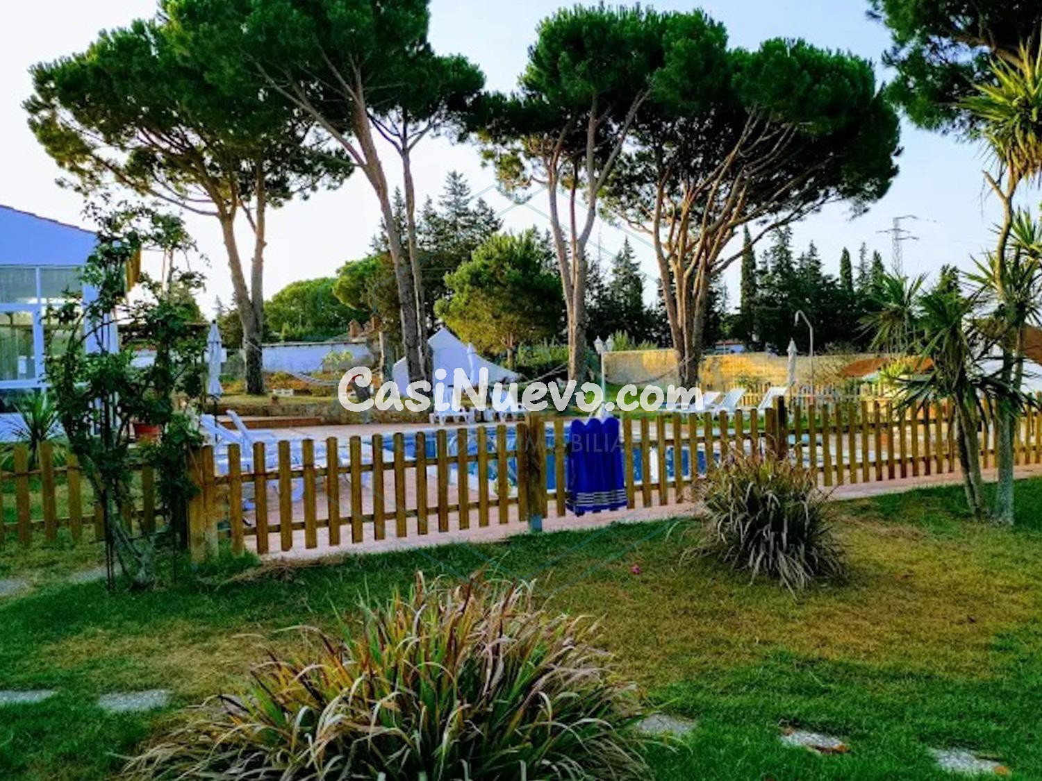 Espectacular finca de 7.000 m2, un complejo único e hipoteca - foto 3