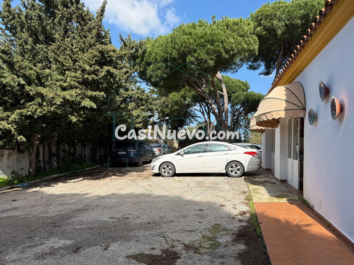 Espectacular finca de 7.000 m2, un complejo único e hipoteca - foto 6