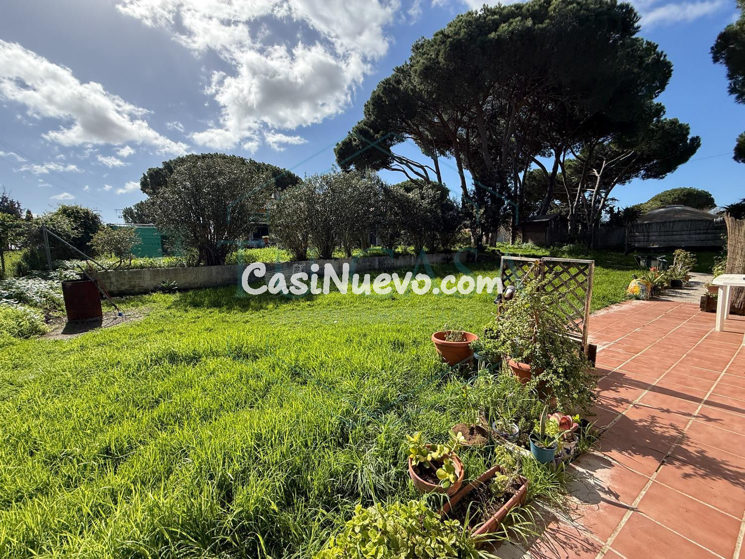Espectacular finca de 7.000 m2, un complejo único e hipoteca - foto 29