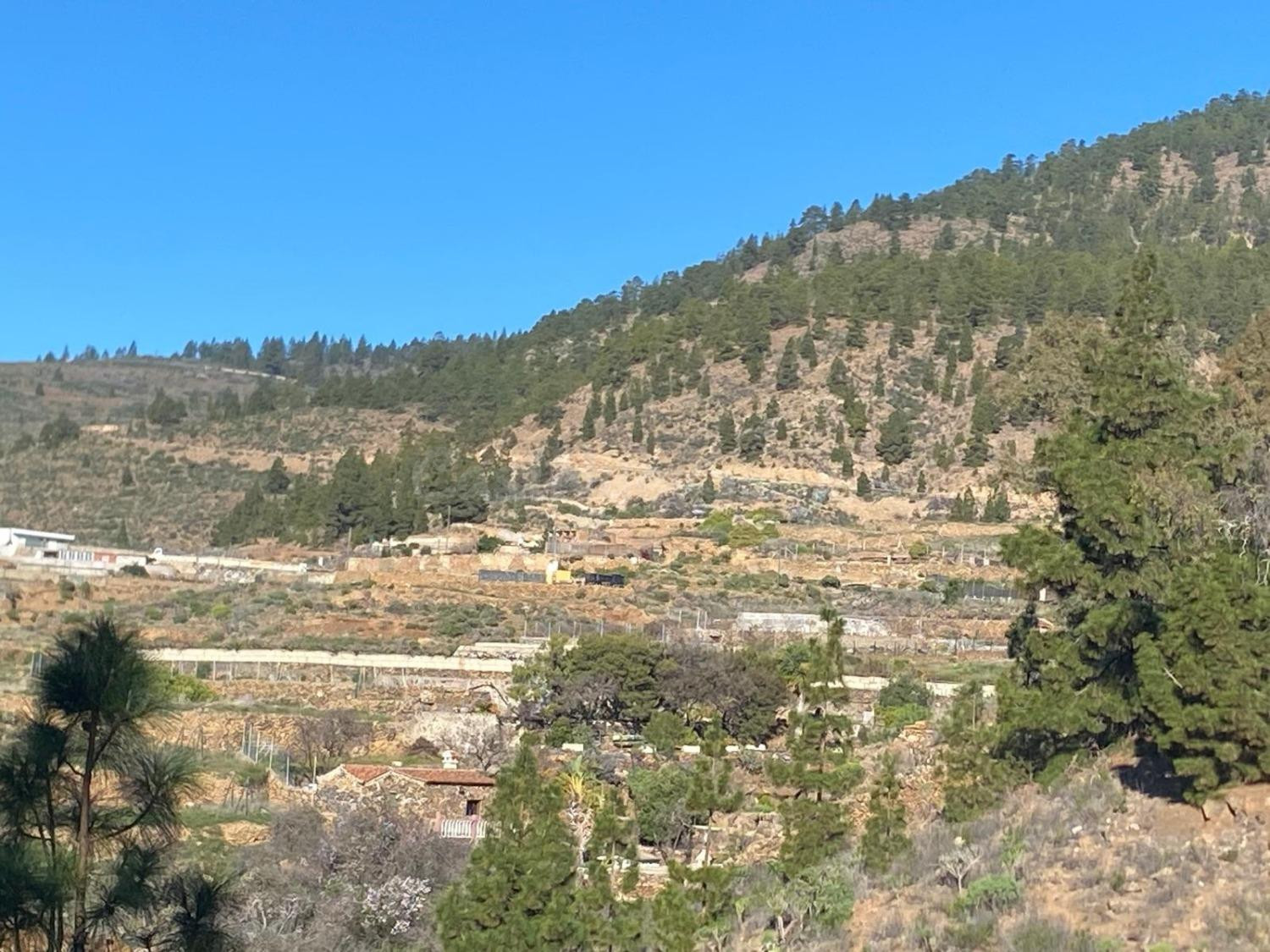 Bonito terreno rústico de 2.930m2 en la Cruz de Tea, en Granadilla de Abona. - foto 2