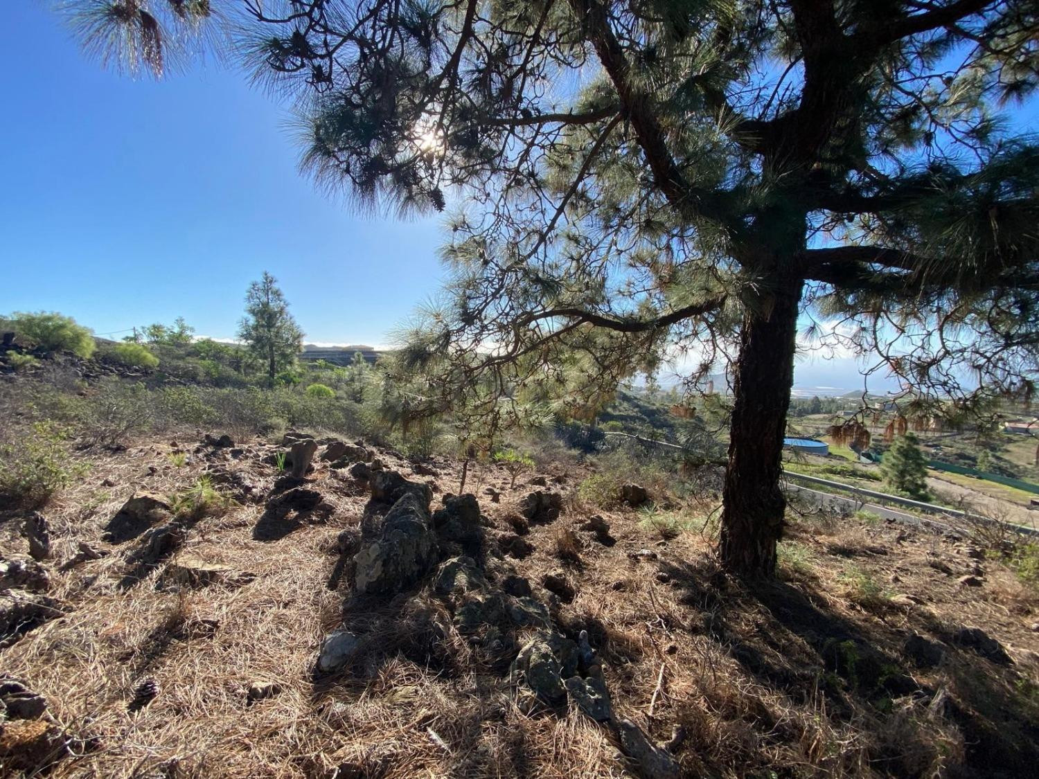 Bonito terreno rústico de 2.930m2 en la Cruz de Tea, en Granadilla de Abona. - foto 3