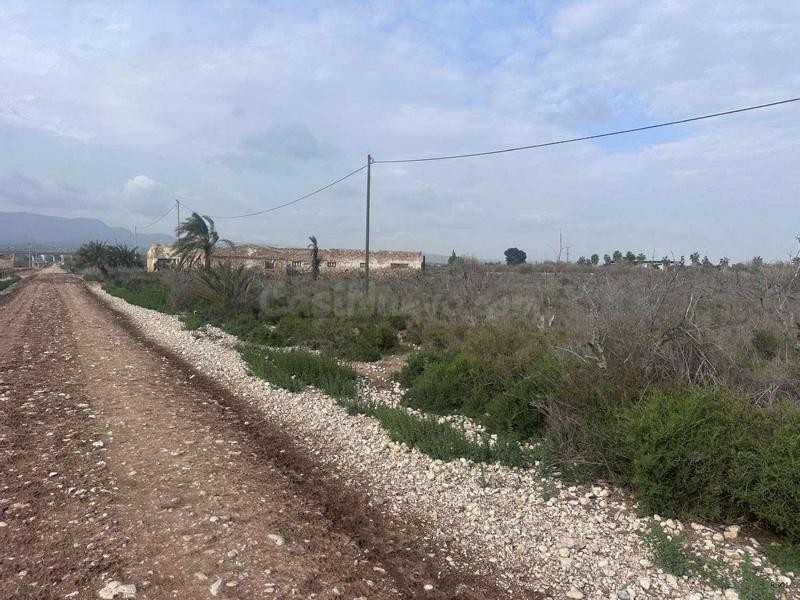 Venta de terreno rural en Crevillente, - foto 2