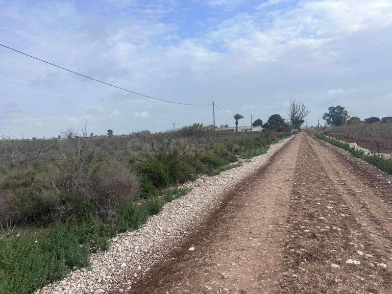 Venta de terreno rural en Crevillente, - foto 5