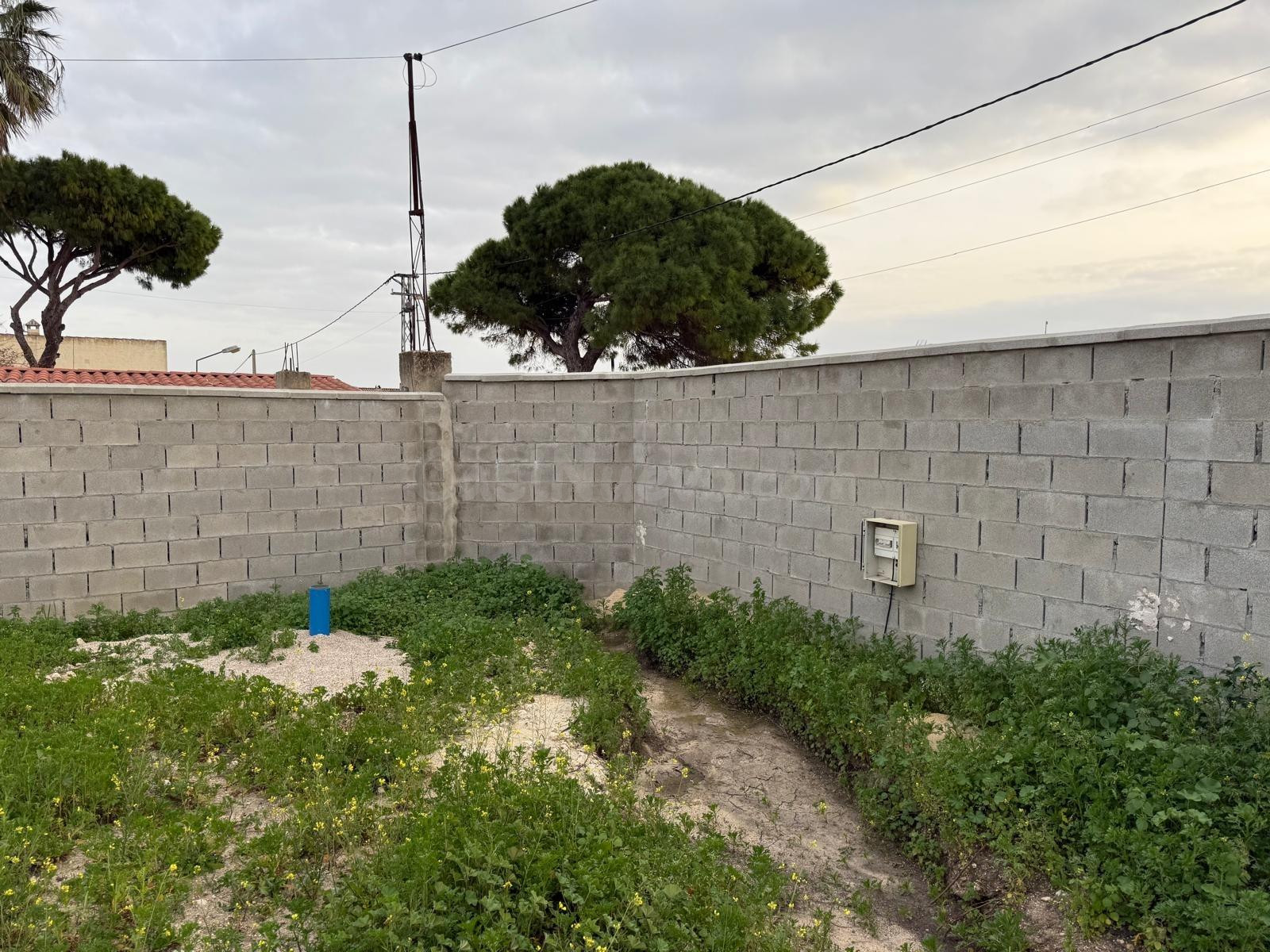 Parcela rústica de 600 m2 con División Horizontal - foto 3