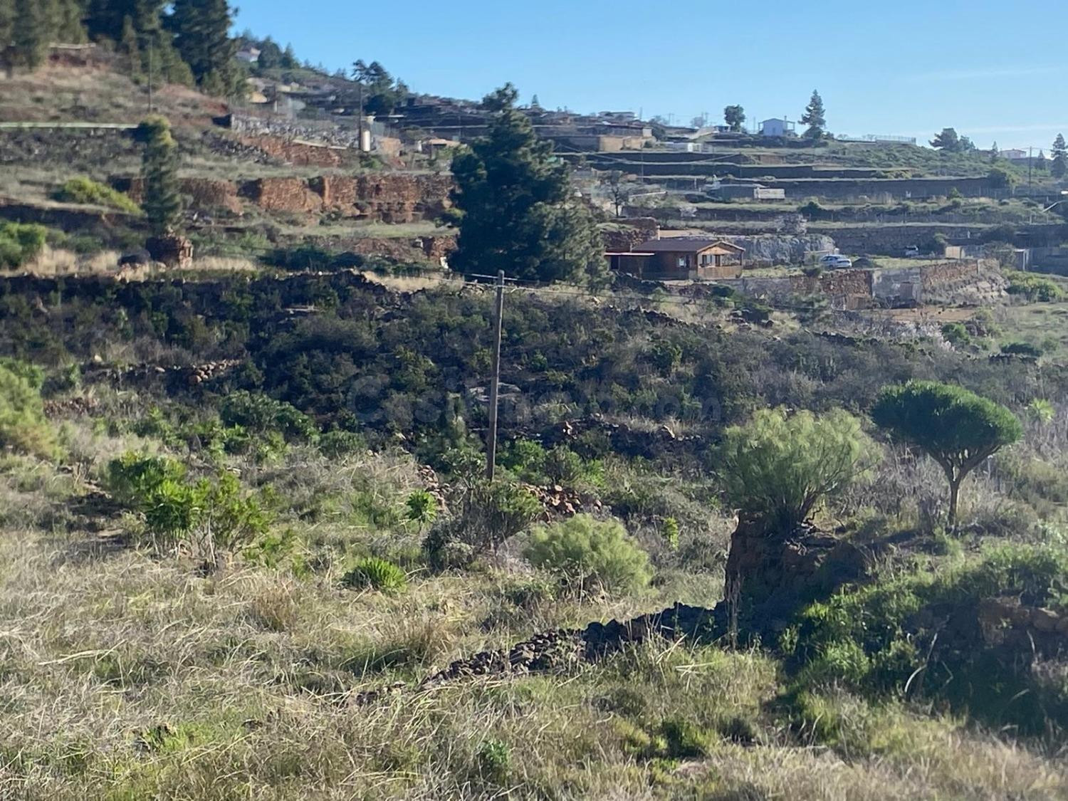 Preciosa finca de 6.889 m2 en Granadilla de Abona - foto 3