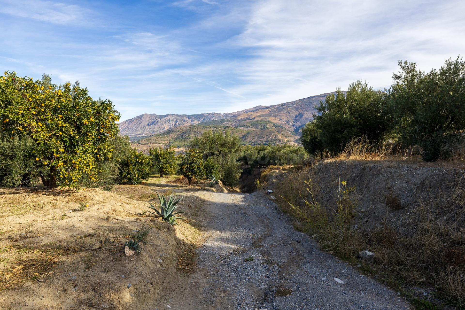 ¡Oportunidad única! Dos Fincas rústicas de mas de 15.000 m2 