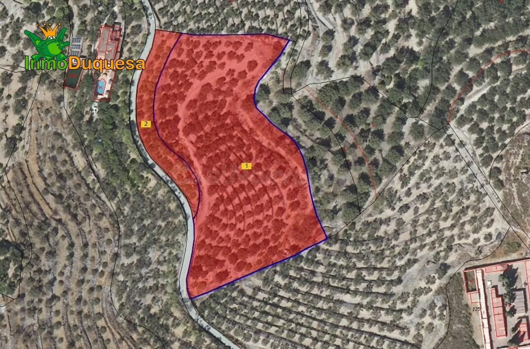2 Fincas rústicas con mas de 15.000 m2 en total. En Pinos del Valle (VENTA JUNTAS o SEPARADAS)