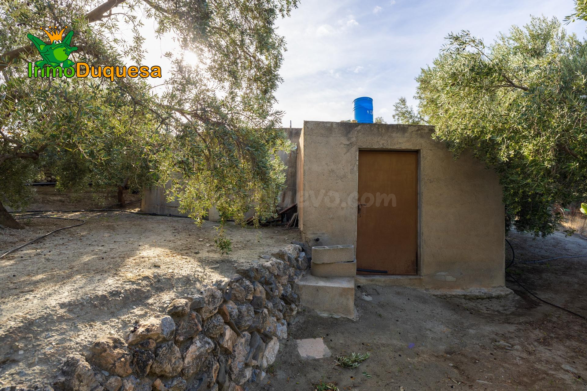 2 Fincas rústicas con mas de 15.000 m2 en total. En Pinos de