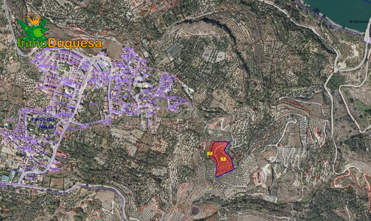 2 Fincas rústicas con mas de 15.000 m2 en total. En Pinos de - foto 3