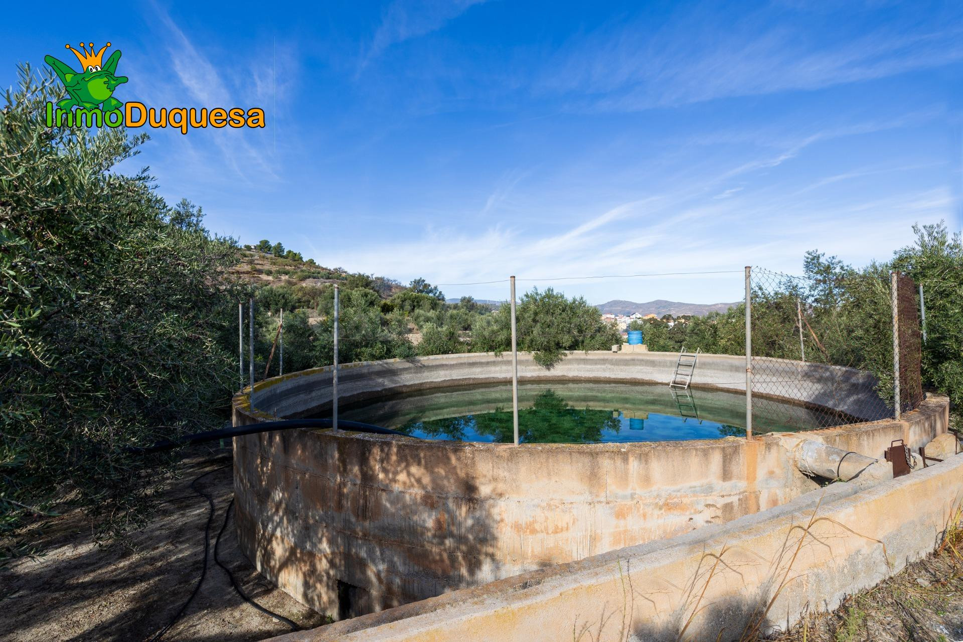 2 Fincas rústicas con mas de 15.000 m2 en total. En Pinos de - foto 4