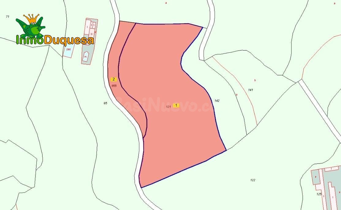 2 Fincas rústicas con mas de 15.000 m2 en total. En Pinos de - foto 5
