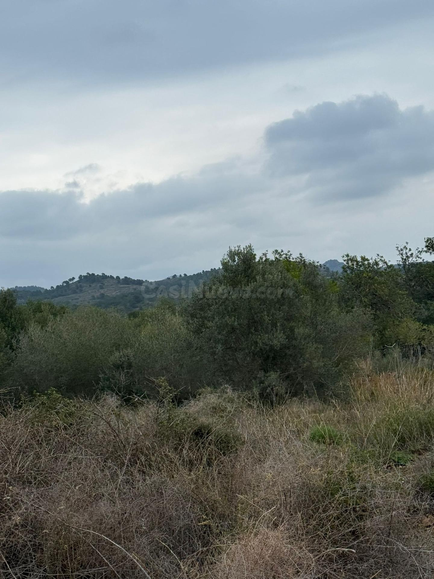 Terrenos en venta en Estivella, tierras cálidas con muchas p - foto 4