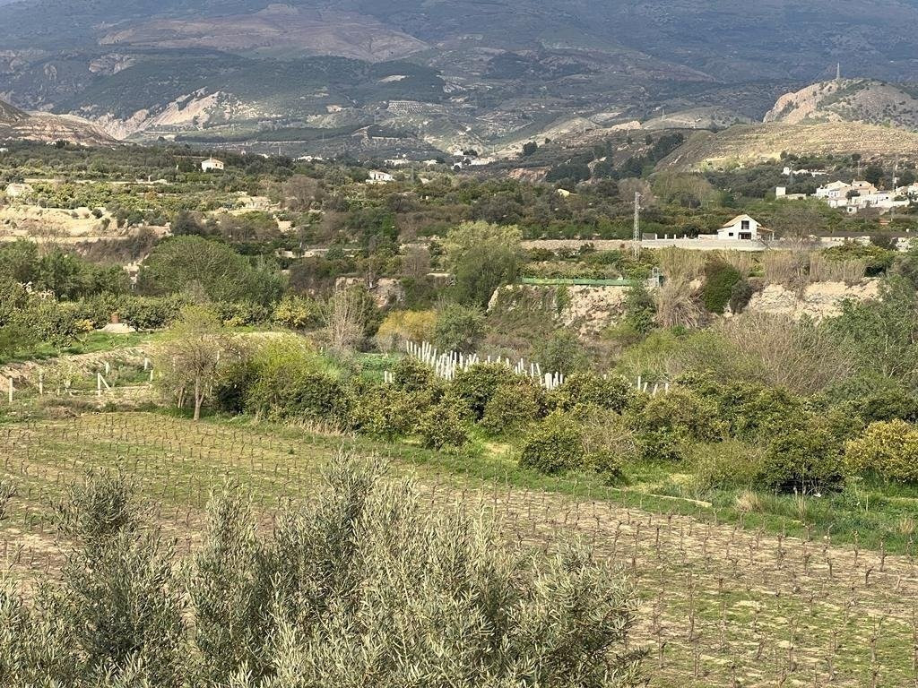 Fantástica finca en el Valle de Lecrìn  con CONSTRUCCIÓN DE  - foto 2