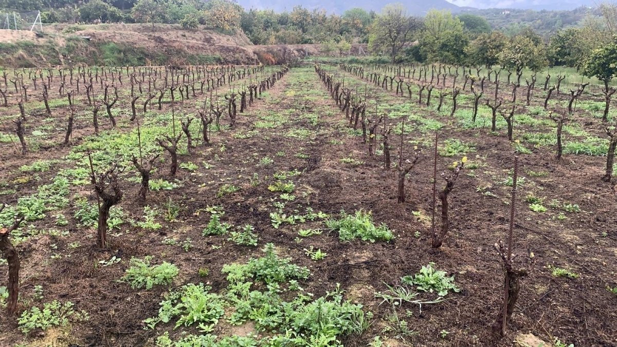 Fantástica finca en el Valle de Lecrìn  con CONSTRUCCIÓN DE  - foto 4