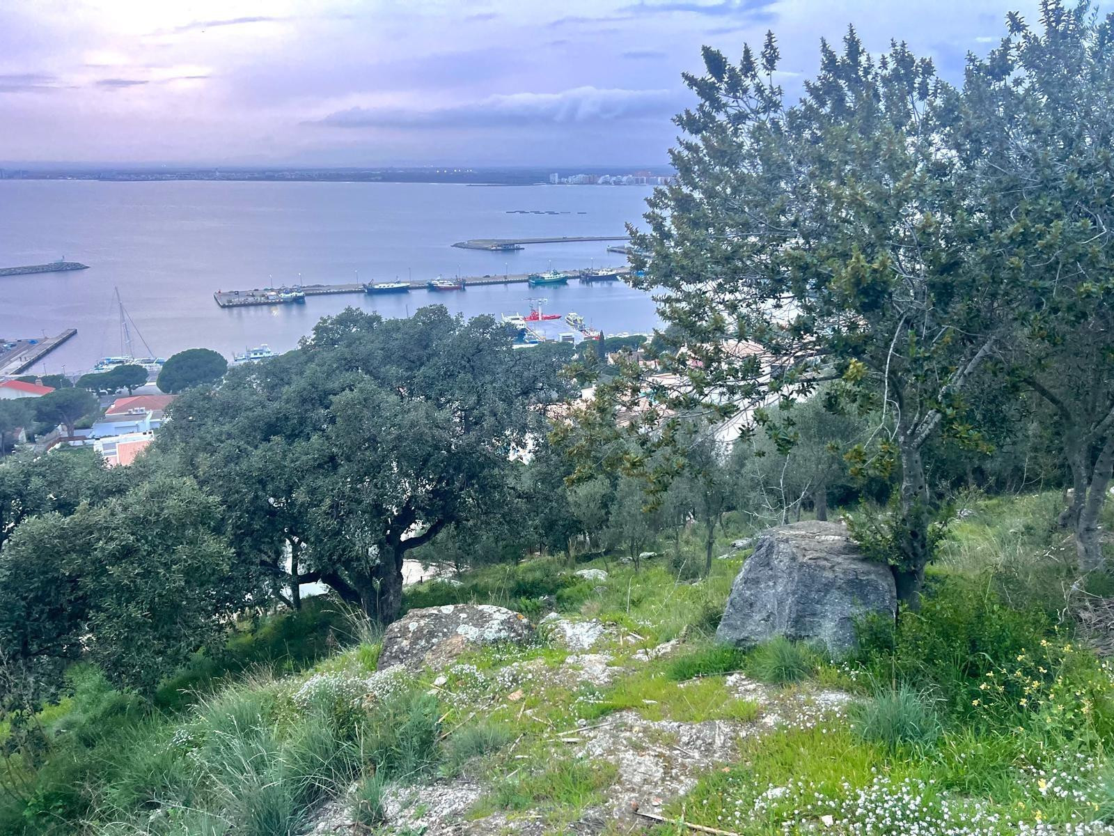 Terreno exclusivo de 800 m2 en Puig Rom con vistas panorámic - foto 5
