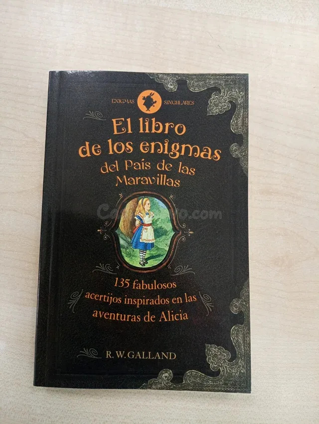 EL LIBRO DE LOS ENIGMAS DEL PAÍS DE LAS MARAVILL