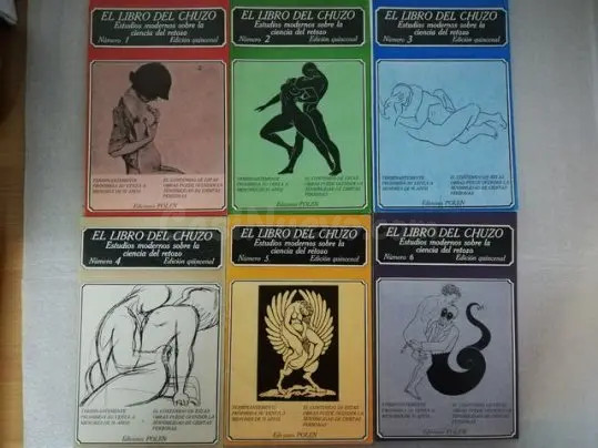 El libro del chuzo. estudios modernos sobre la cie
