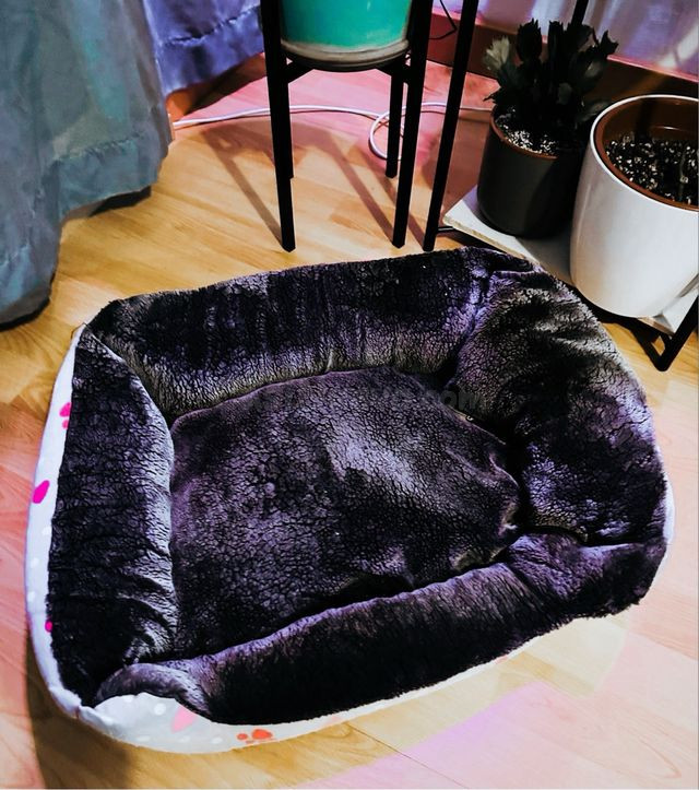 Cama / capazo para a animales - foto 2