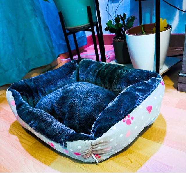 Cama / capazo para a animales - foto 4