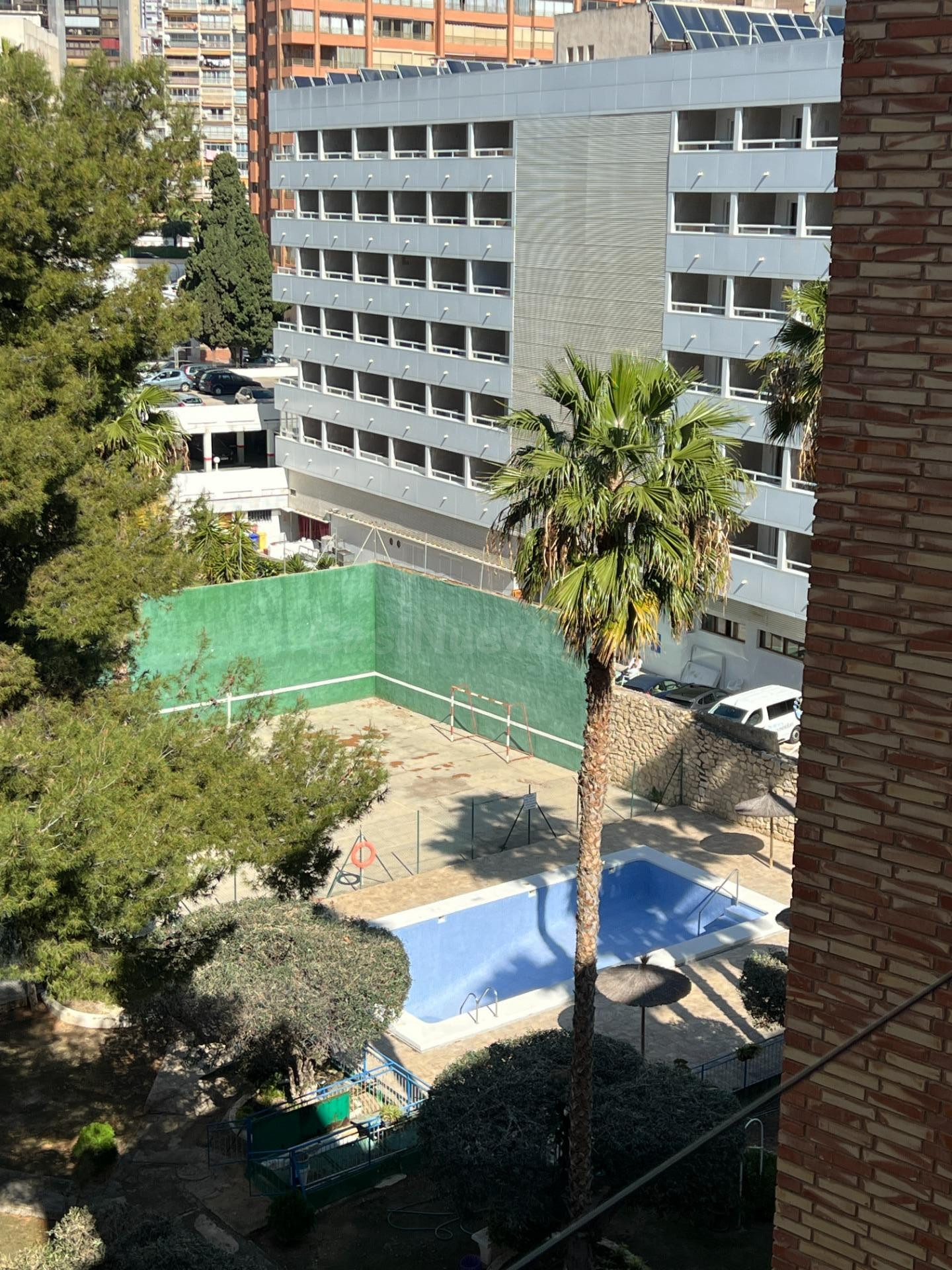 Piso céntrico de 3 dormitorios en Benidorm - foto 3