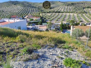 PARCELA EN FUERTE DEL REY - foto 4