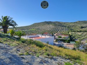 PARCELA EN FUERTE DEL REY - foto 5