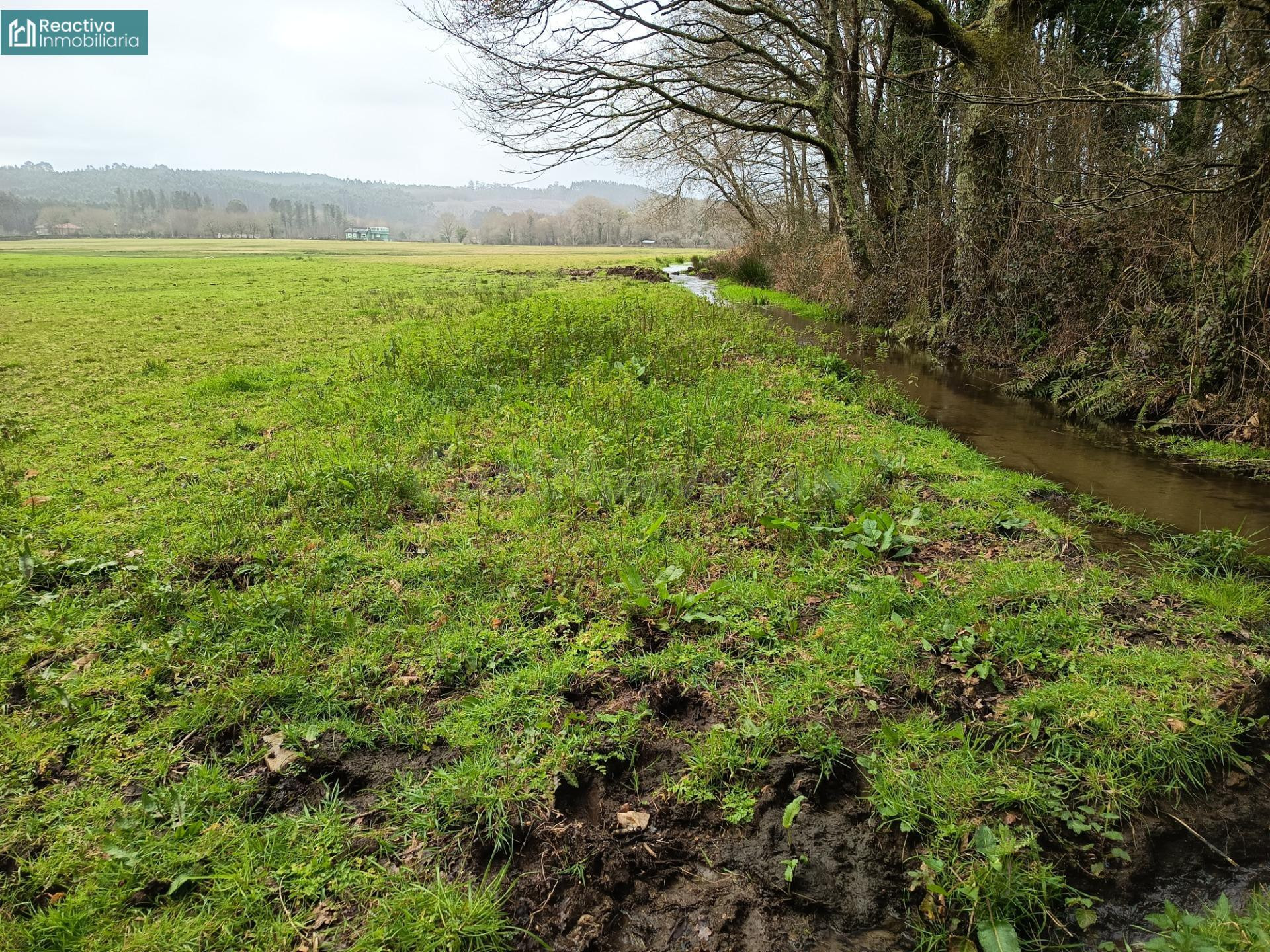 Terreno de 13 Ha., en Melide - foto 2