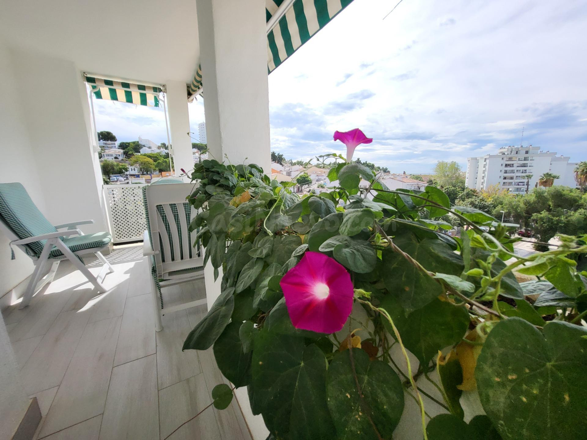 Fantástico apartamento de dos amplias habitaciones y dos bañ - foto 3