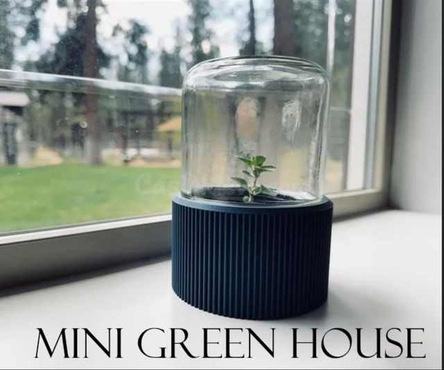 Mini Invernadero/Semillero