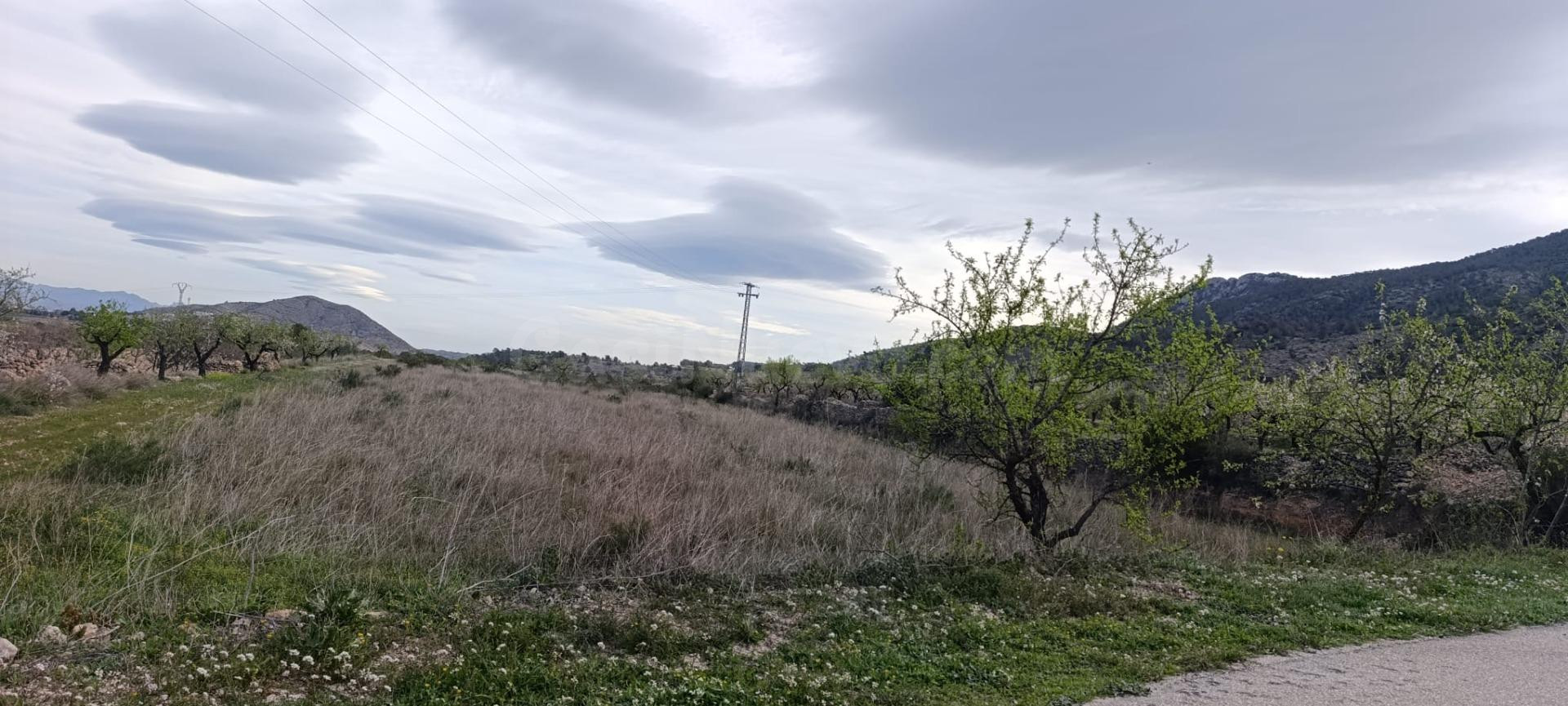 Terreno Rústico en Hondon de las Nieves - Zona BAYON - foto 4