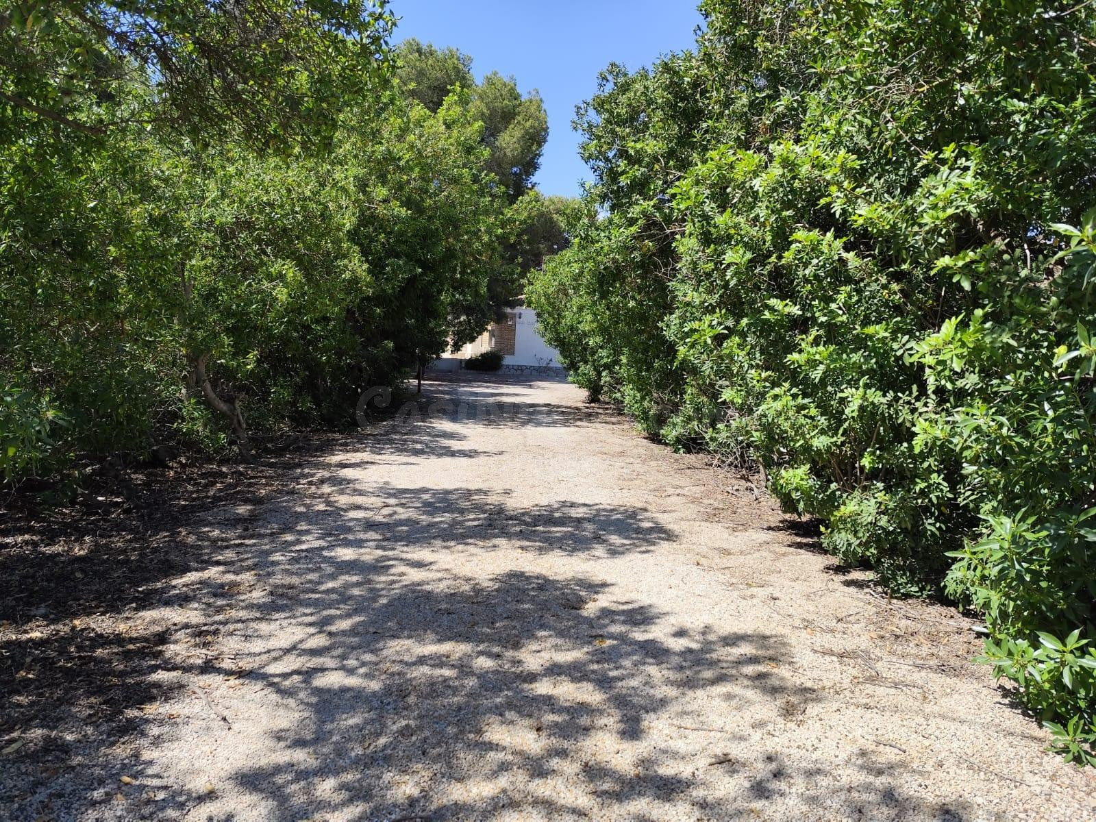 Finca Rustica – Espacio, Exclusividad y Alta Rentabilidad - foto 2