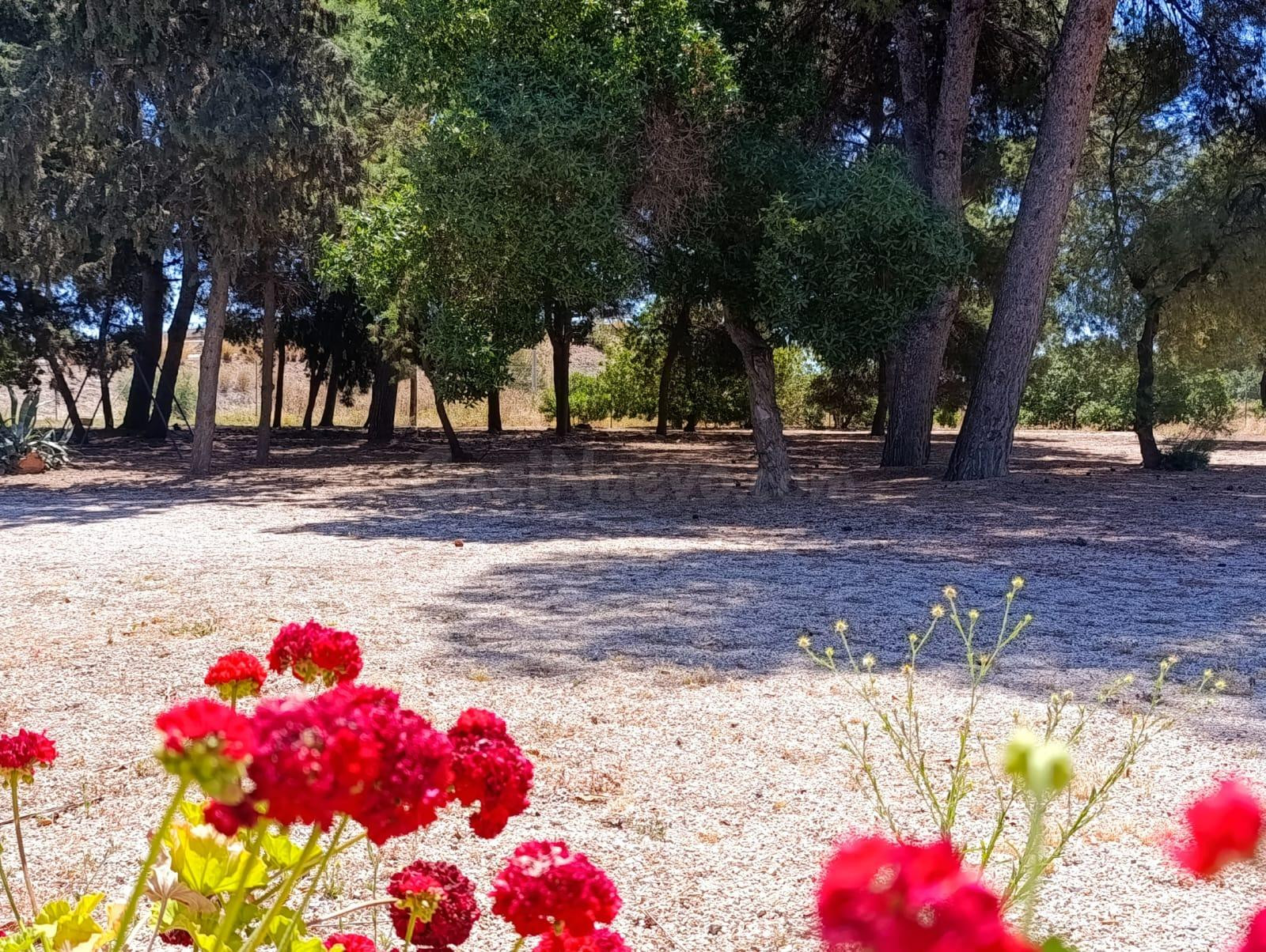 Finca Rustica – Espacio, Exclusividad y Alta Rentabilidad - foto 3