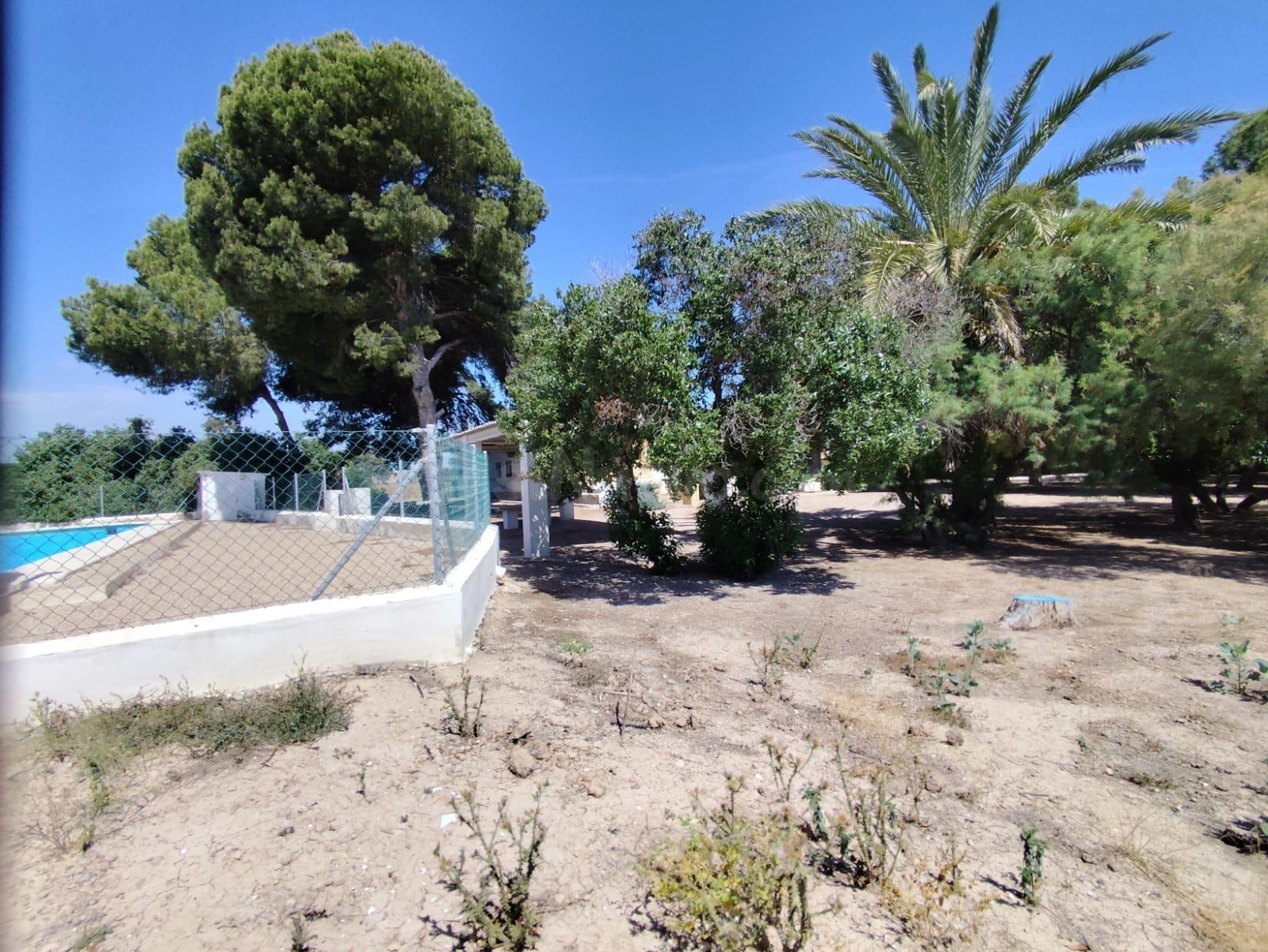 Finca Rustica – Espacio, Exclusividad y Alta Rentabilidad - foto 4
