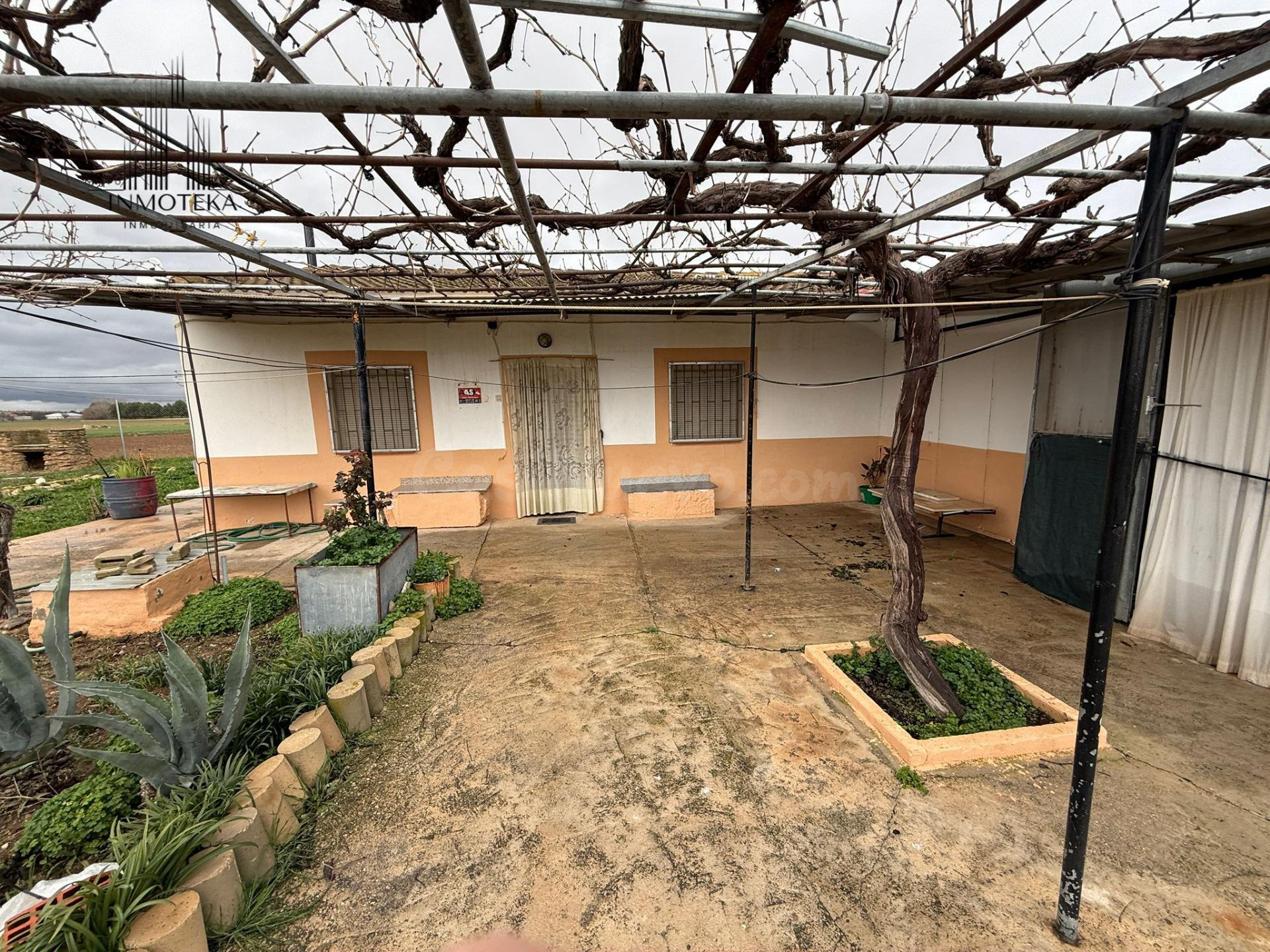 REF: C095 GRUPO INMOTEKA INMOBILIARIA VENDE PARCELA RUSTICA EN CARRETERA DE AYORA