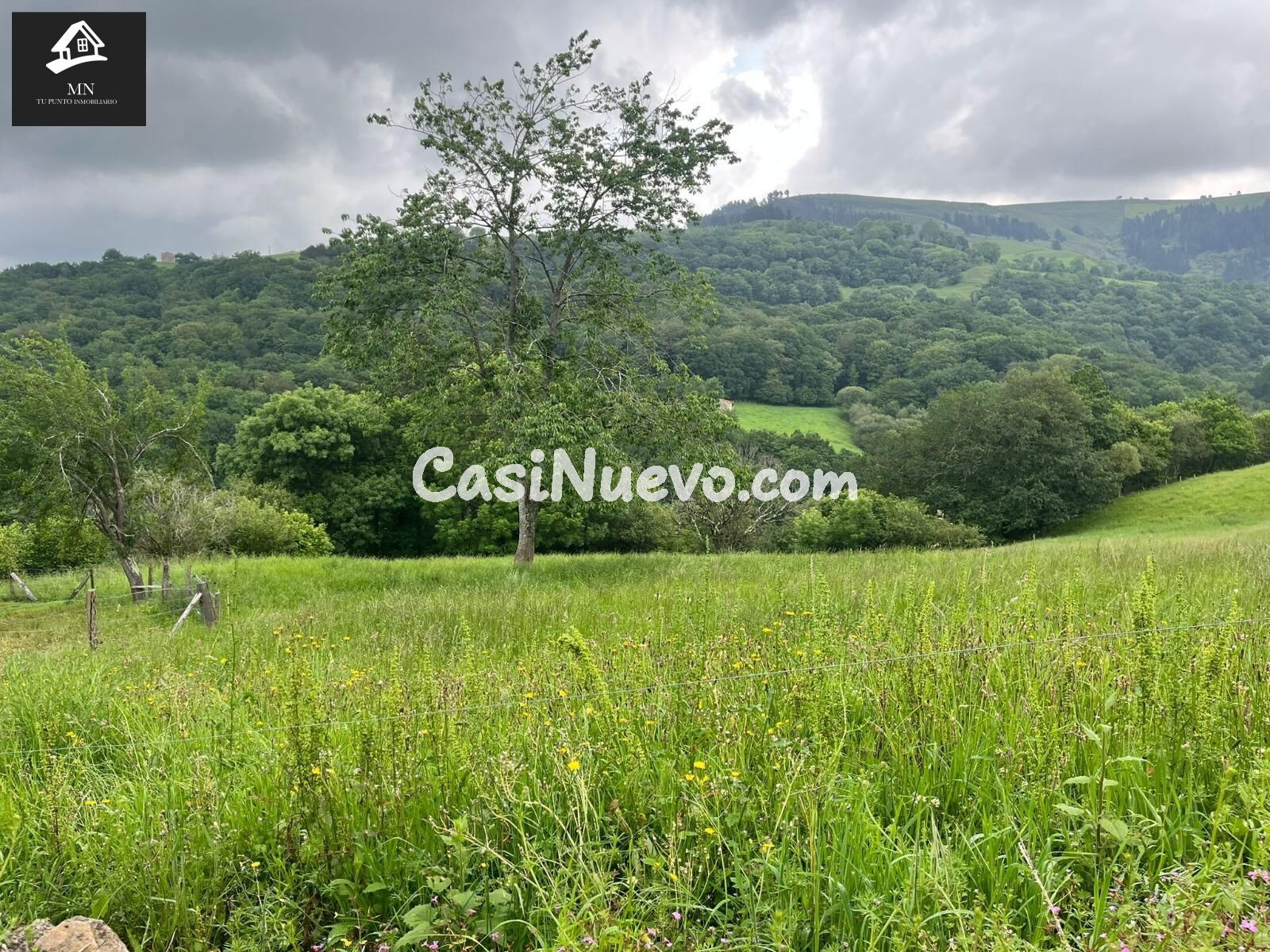 Cabaña Pasiega con Proyecto Aprobado: Tu refugio en el coraz - foto 10