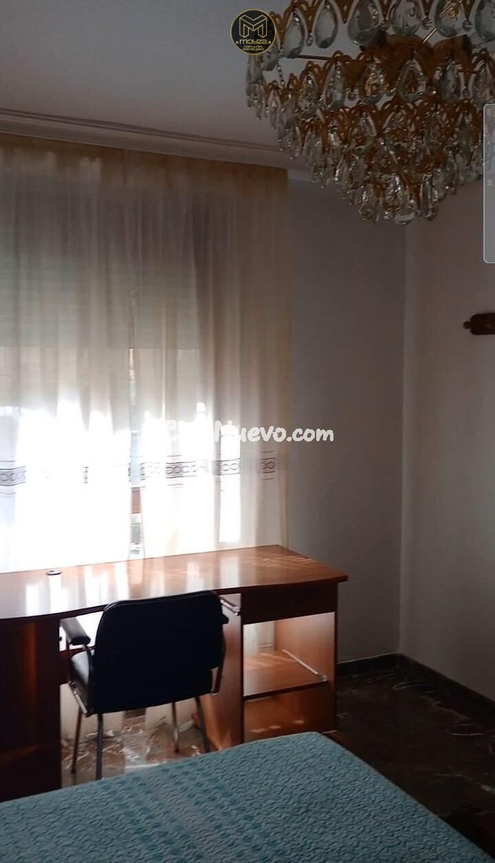 ALQUILER EN EL GRAN EJE - foto 7