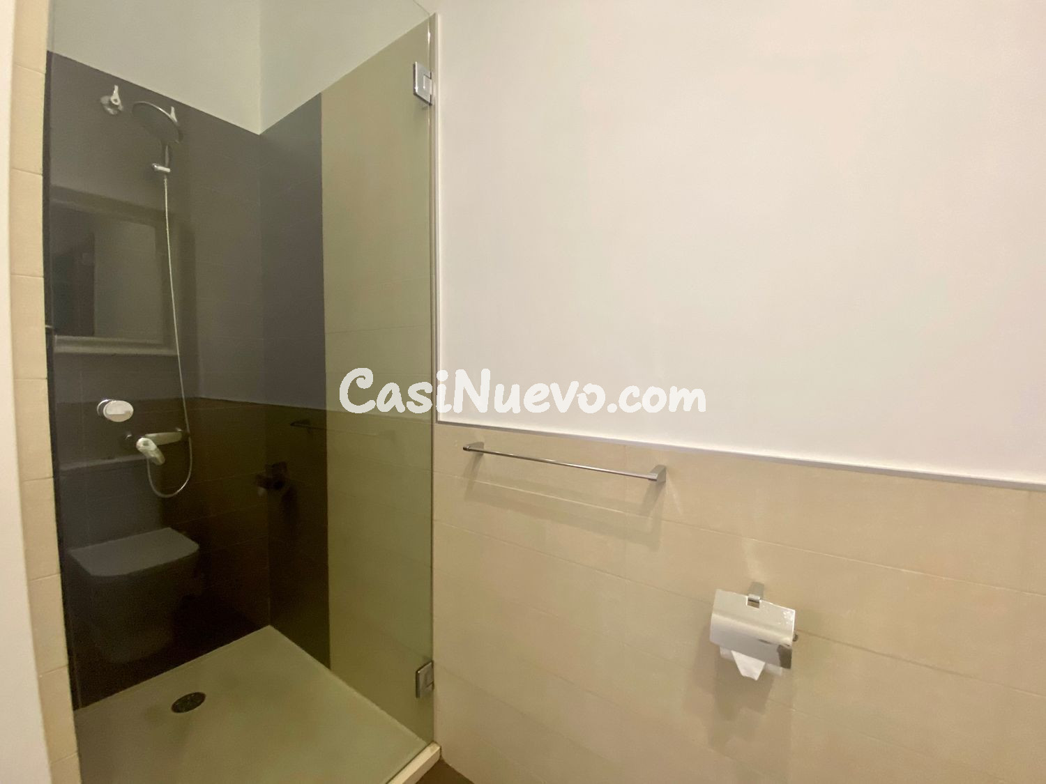 Alquiler en la calle Triana. - foto 31