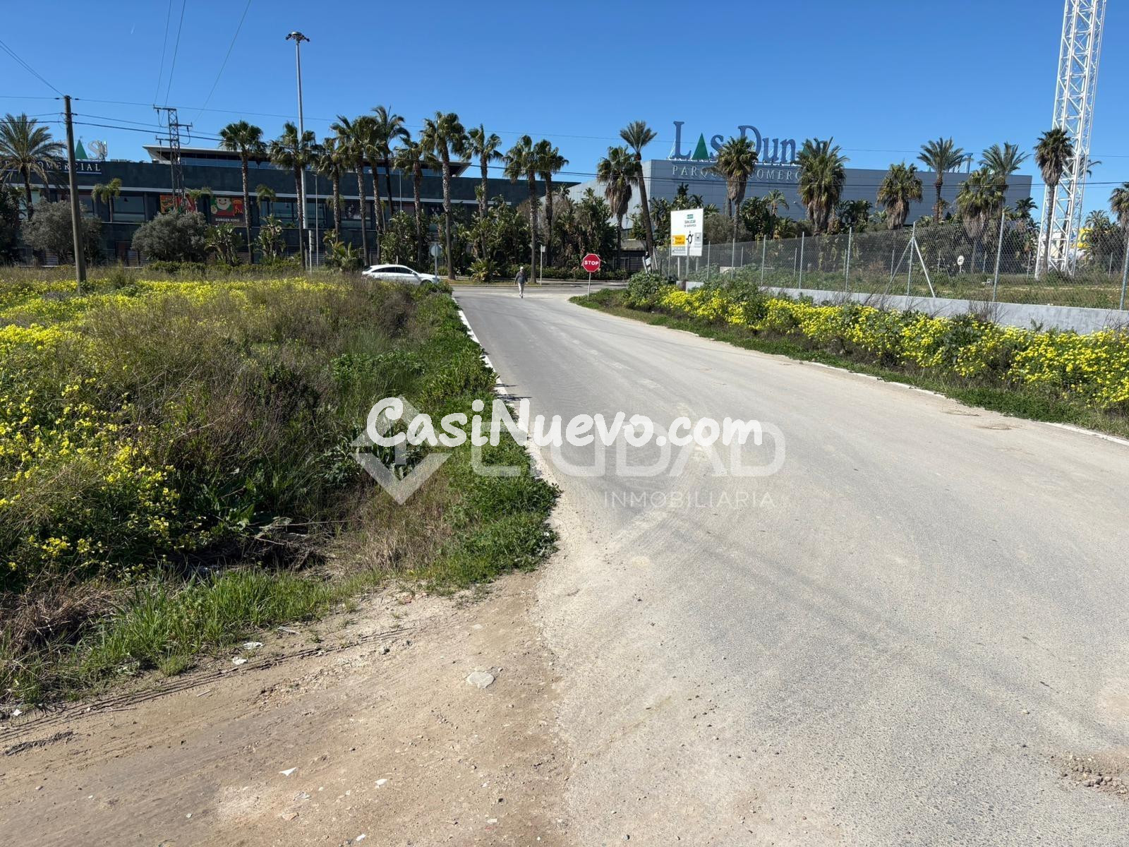 Parcela rústica en El Cortijillo - foto 2