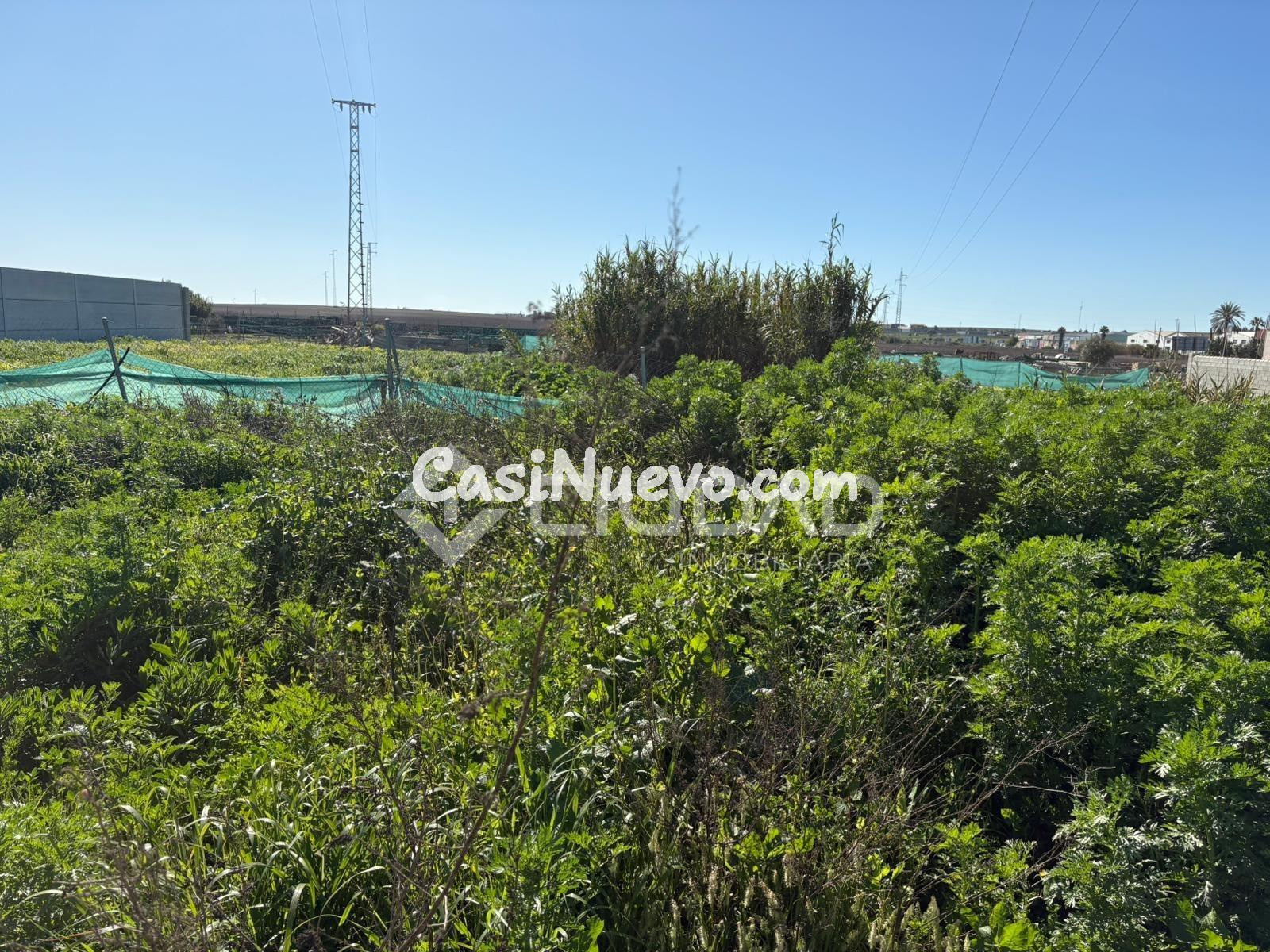 Parcela rústica en El Cortijillo - foto 6