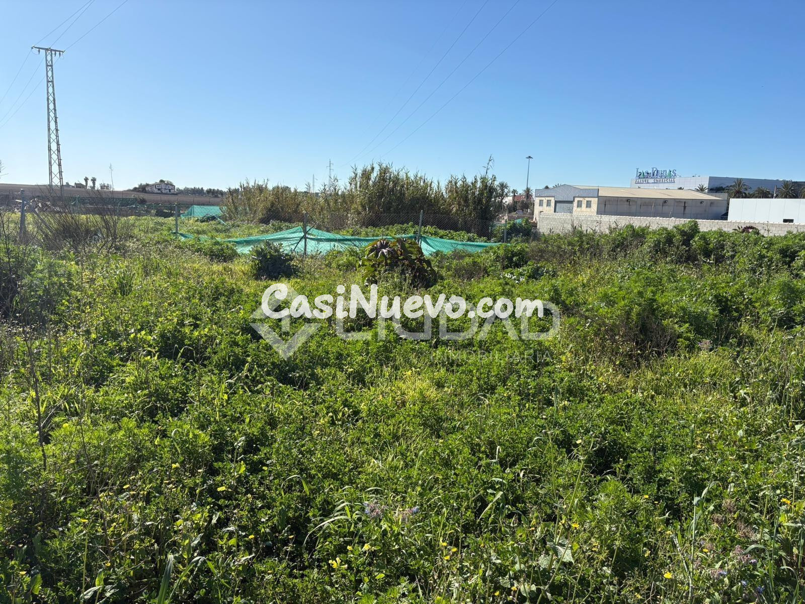 Parcela rústica en El Cortijillo - foto 7