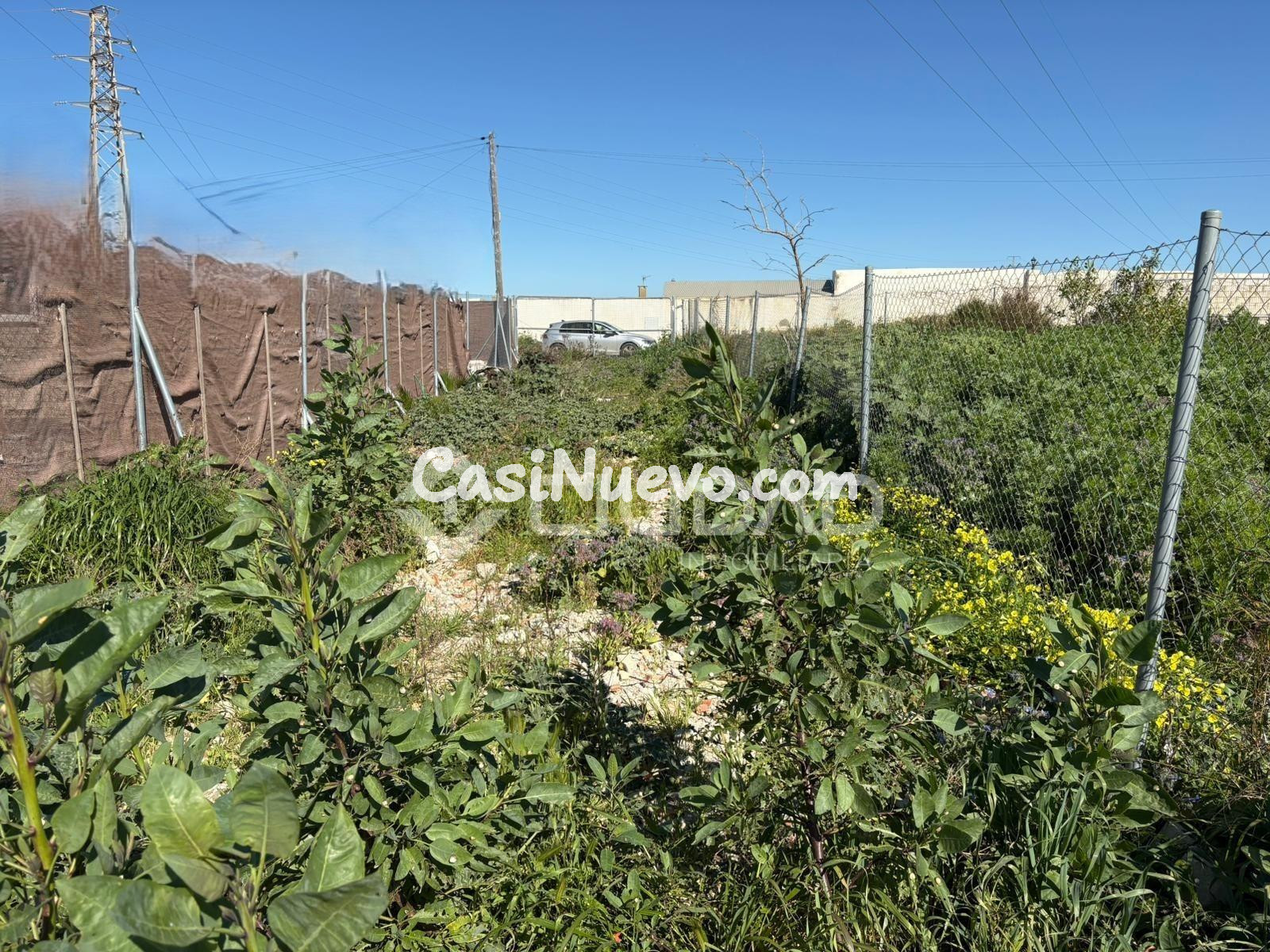 Parcela rústica en El Cortijillo - foto 8