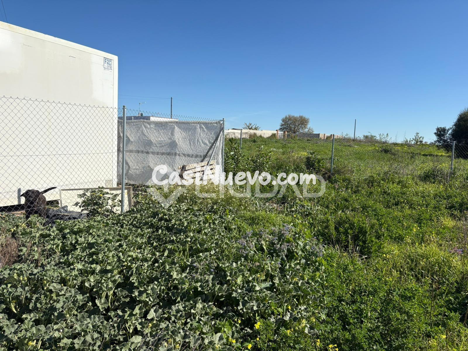 Parcela rústica en El Cortijillo - foto 11